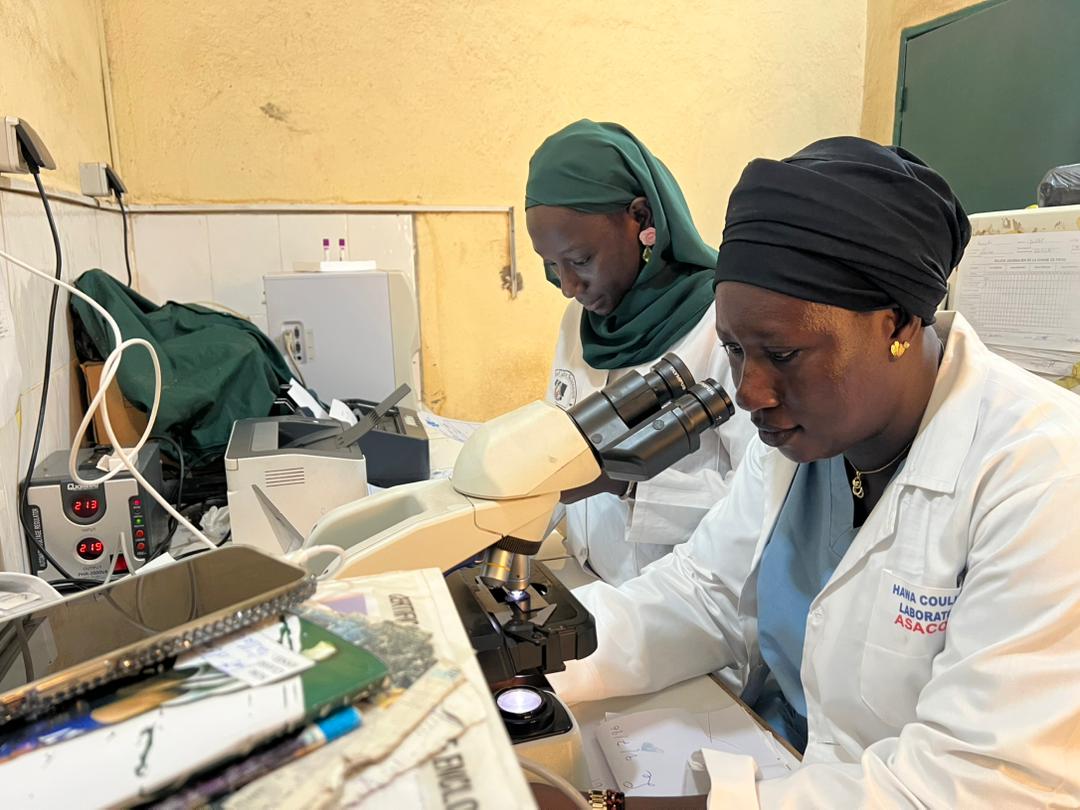 Analyse au microscope par les techniciennes du laboratoire